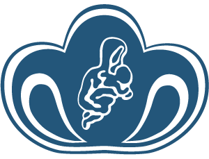 ФГБУ «Национальный медицинский исследовательский центр акушерства, гинекологии и перинатологии имени академика В.И. Кулакова» Минздрава России ФГБУ «Национальный медицинский исследовательский центр акушерства, гинекологии и перинатологии имени академика В.И. Кулакова» Минздрава России